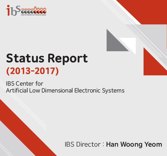 Status Report 2013-2017 사진