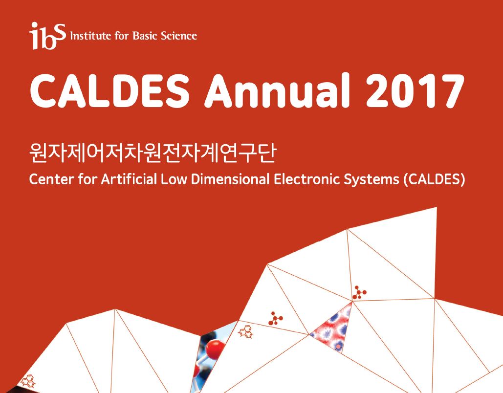CALDES Annual 2017