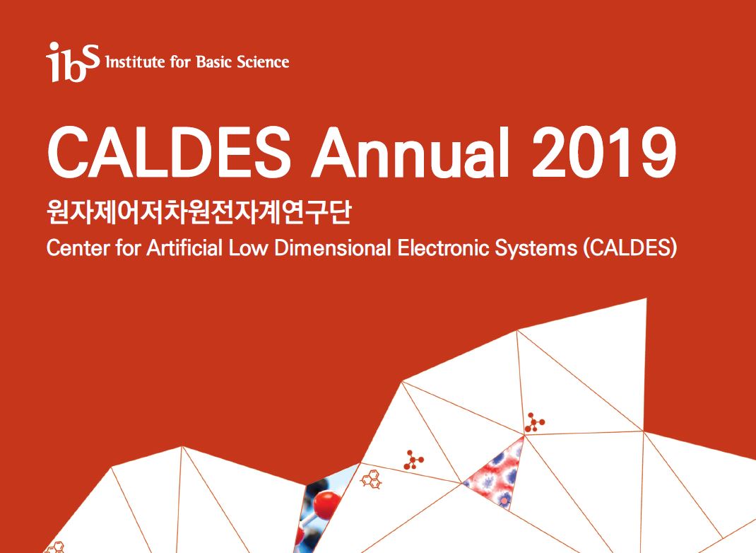 CALDES Annual 2019