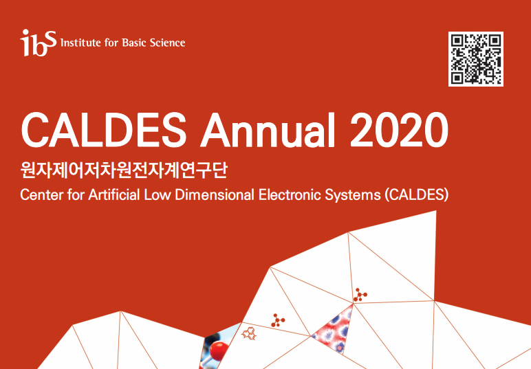 CALDES Annual 2020