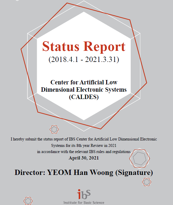 CALDES Status Report 2018-2021 사진