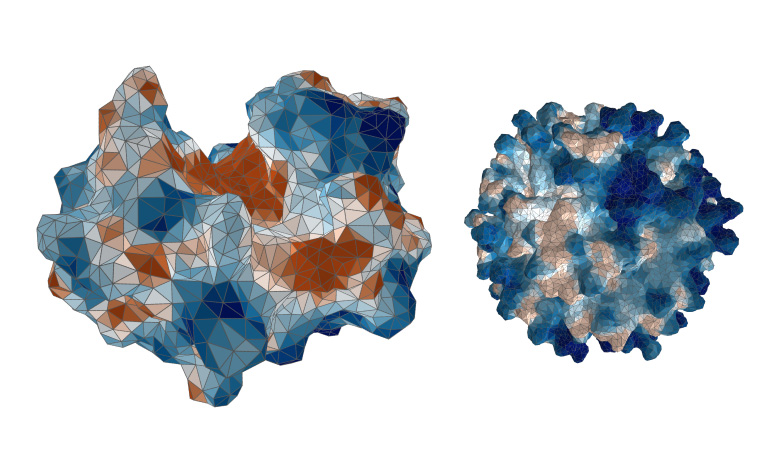 Learning from proteins to pave the road for better designs of nanomaterials 사진