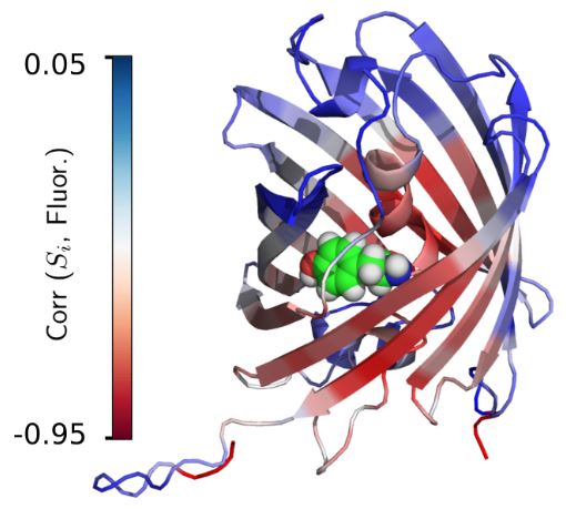 Testing the limits of AlphaFold2’s accuracy in predicting protein structure 사진