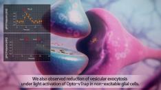 Scientists can control brain circuits, behavior, and emotion using light 사진