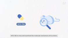 Unlocking the molecular mechanism of PTSD treatment 사진