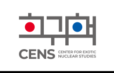 New CENS logos (default and light colors)