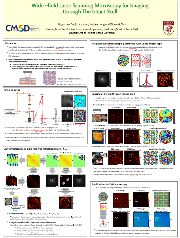 Wide –field Laser Scanning Microscopy for Imaging  through The Intact Skull