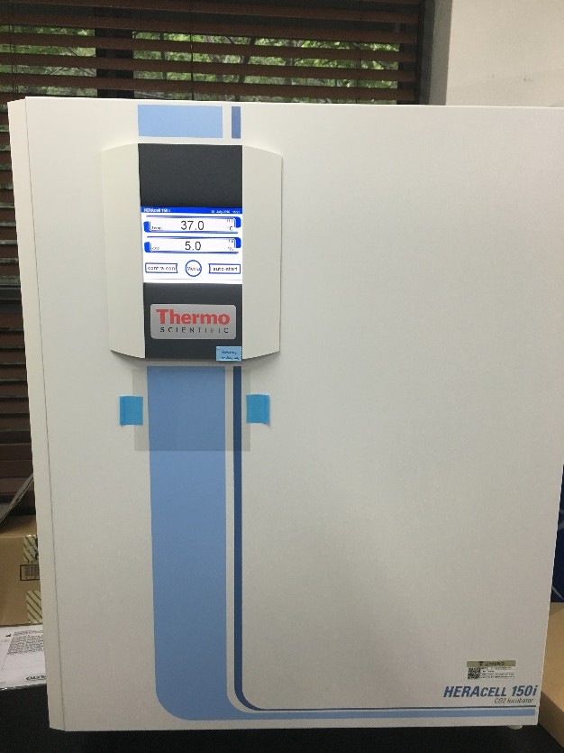 CO2 incubator (Heracell 150i CO2 incubators, Thermo scientific)