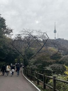 2024 Namsan Dulle-gil Walk