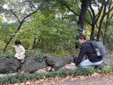 2024 Namsan Dulle-gil Walk