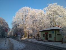 Bartek's hometown, 'Oleśnica'