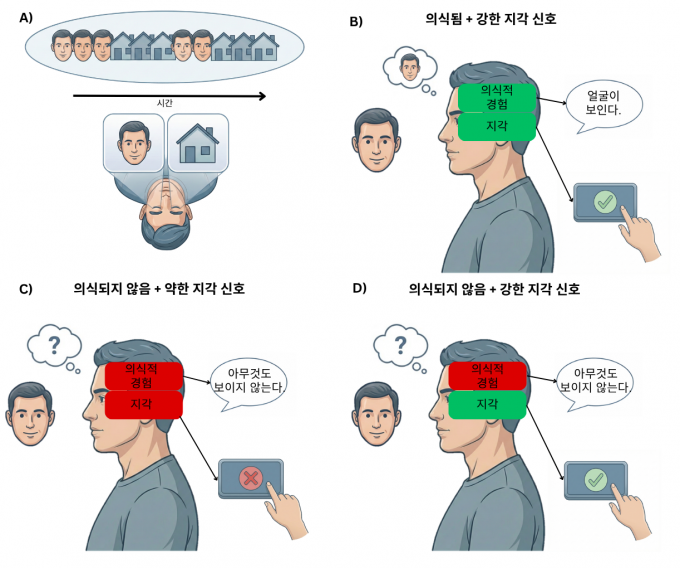 Does AI or artificial brain tissue have “consciousness”? “We must first establish clear scientific criteria.” 사진