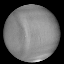 2nd Venus Data Workshop [online] 사진