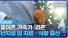 [대전 MBC] 꿈의 암 치료에서 식량 증산까지 사진