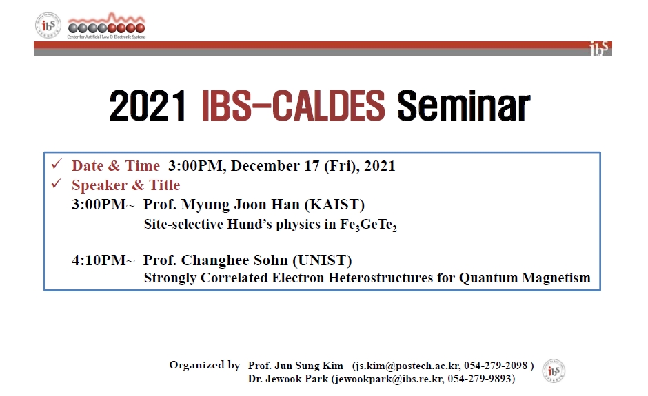 IBS-CALDES Seminar