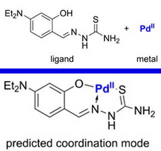 Hybrid Computational Strategy for Predicting Complex Ligand–Metal Architectures image