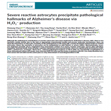 Publication in Nature Neuroscience!