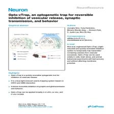Publication in Neuron!