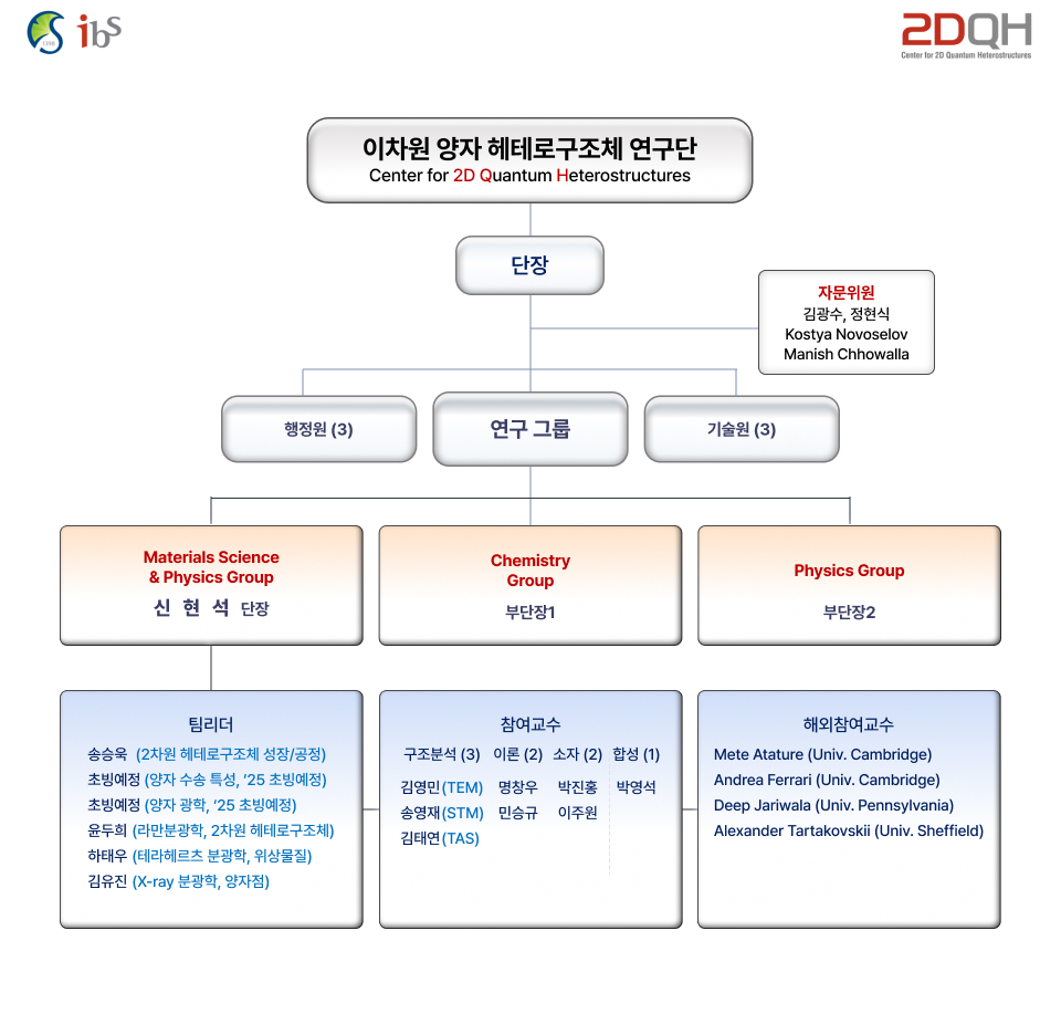 이차원 양자 헤테로구조체 연구단 조직도