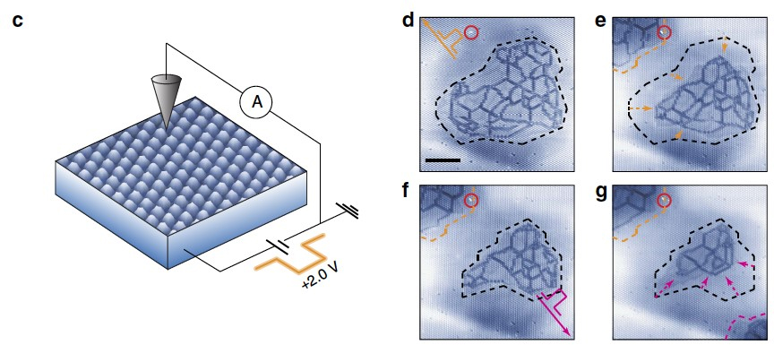 Creating domain wall networks on a 2D material with strong electronic correlation, 1T-TaS2
(Nature Commun. 2016, 2017 & 2019)