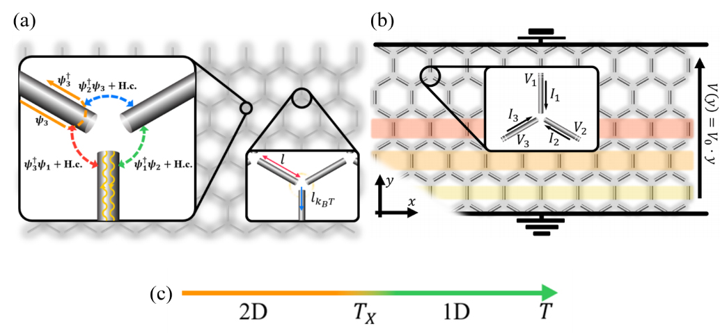 Figure. (a) Schematic picture of honeycomb network. Links are one dimensional Tomonaga-Luttinger liquids and the arrows show the interaction between them. (b) Conduction through the network. Wires with the regions of the same colors have same voltage. (c) 'Phase diagram' of the network in temperature.