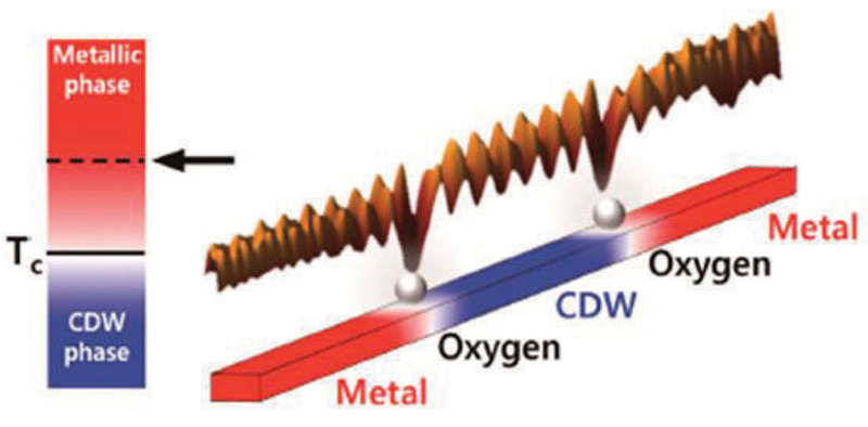 Figure 2. STM topography and its schematics for a In atomic wire segment where the CDW state is locally condensed between two oxygen impurities