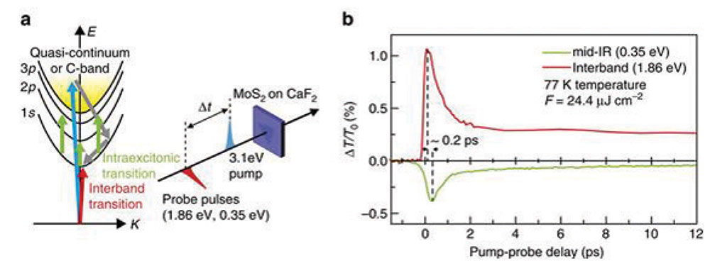 Figure 5. Ultrafast intraexcitonic and band-to-band spectroscopy in monolayer MoS<sub>2</sub>. (a) Schematic illustration of the ultrafast intraexcitonic (green) and conventional band-to-band (red) interband spectroscopy. (b) Transient dynamics of ∆Τ/Τ0 measured at two representative energies of 1.86eV (red) and 0.35eV (green)