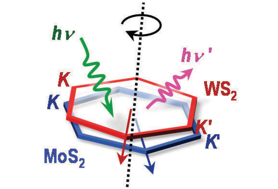 Figure 5. Schematics of this study for light absorption and emission by rotation of monolayer hexagonal semiconductors (MoS2 and WS2) in vertical stacks