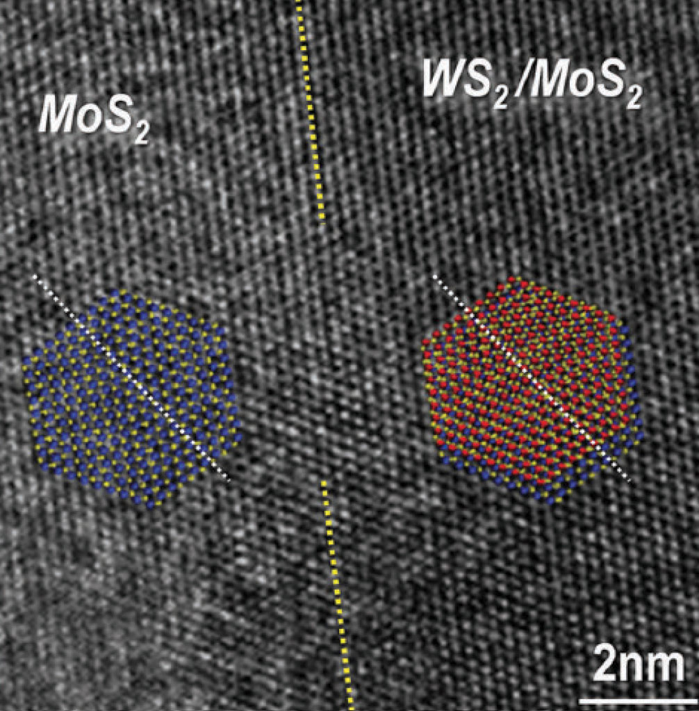 Figure 6. In-plane TEM image at the boundary of the MoS2 and WS2/MoS2 vertical stack region, showing the invariable hexagonal unit cell orientations.