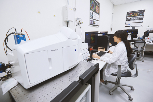 Lightsheet microscope(LSFM or SPIM)