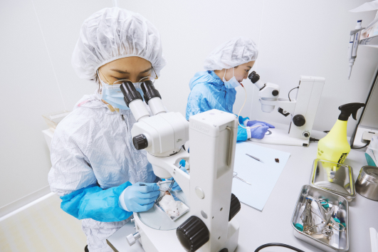 Lightsheet microscope(LSFM or SPIM)