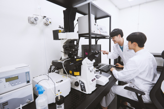 Lightsheet microscope(LSFM or SPIM)