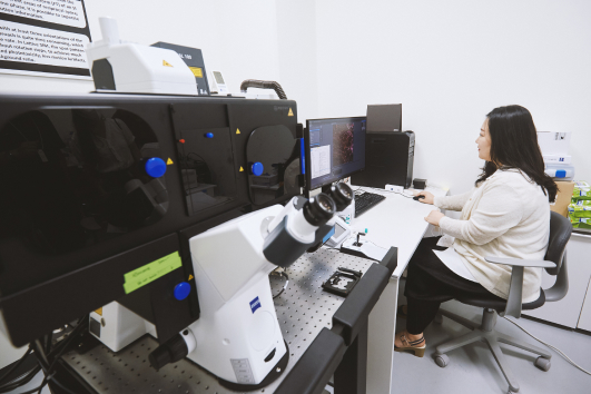 Lightsheet microscope(LSFM or SPIM)