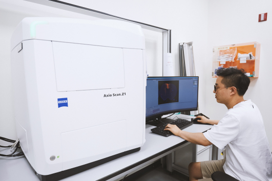 Lightsheet microscope(LSFM or SPIM)