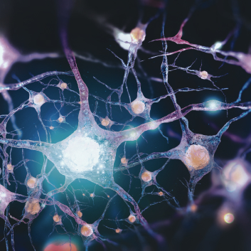 Cognitive Glioscience Group