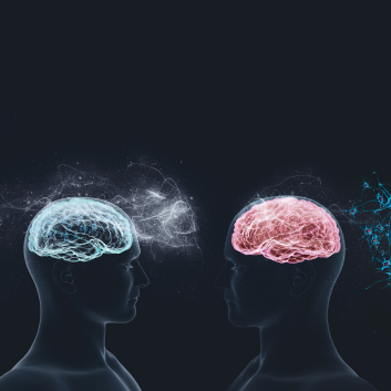 Social Neuroscience Group