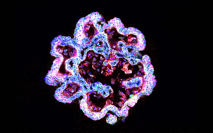 유전체 관련 이미지02