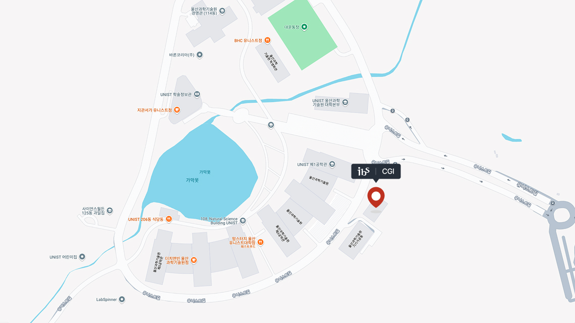 ibs cgi map