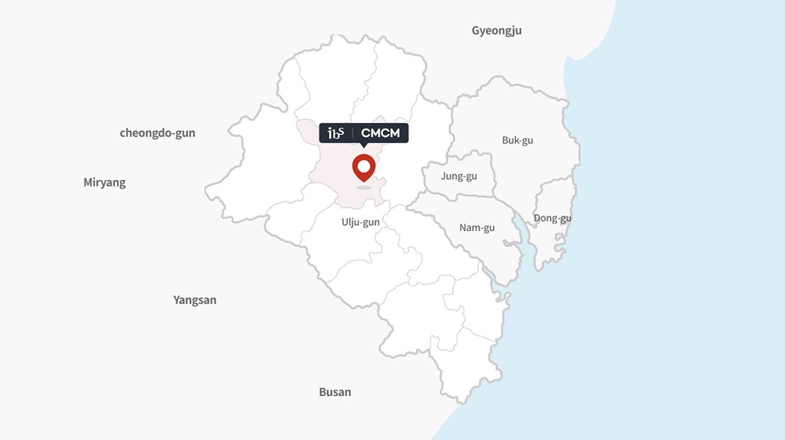 ibs CMCM map
