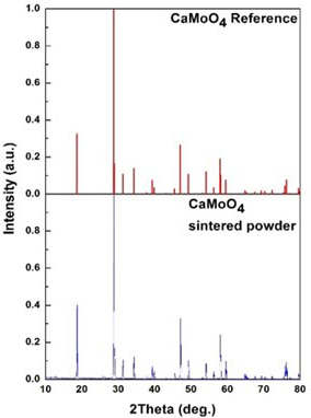 XRD analysis result of sintered CaMoO4 powder