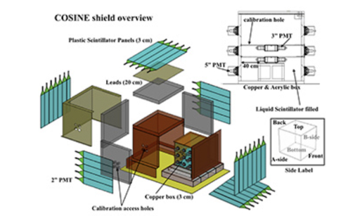 The COSINE-100 experimental setup design