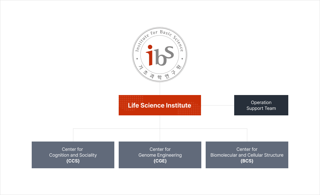LSI org