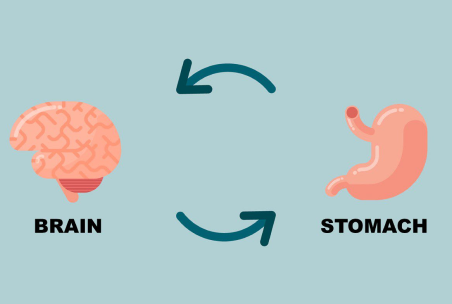 Stomach-Brain Axis (SBA):Unveiling the stomach-brain connection