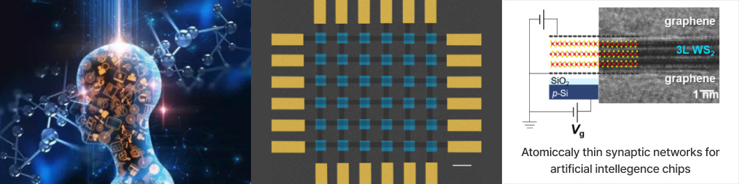 Atomiccaly thin synaptic networks for artificial intelligence chips