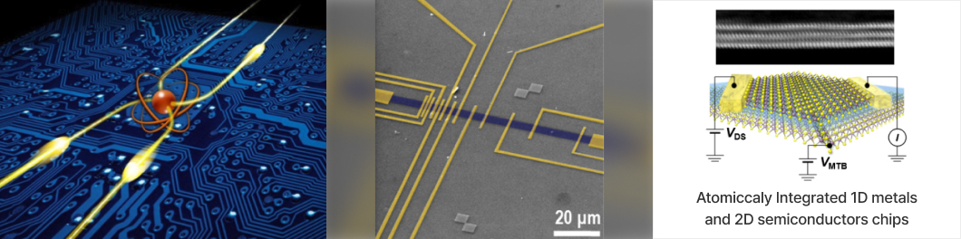 Atomiccaly Integrated 1D metals and 2D Semiconductors chips