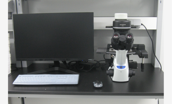 Microscope