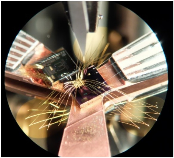 A magnified view of precise wire bonding in progress on a microcircuit for a Metallic Magnetic Calorimeter (MMC), the core high-resolution sensor technology of the AMoRE-II detector.