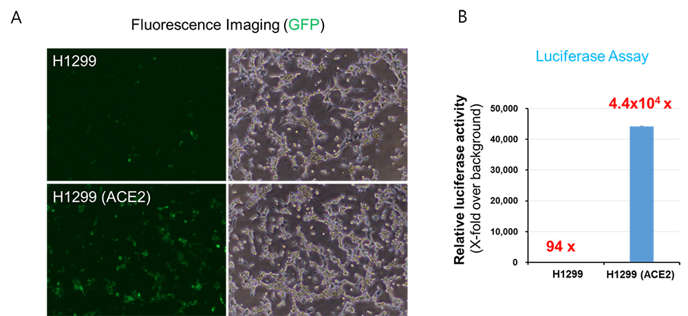 fig4