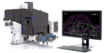 Wavelength range: 405 nm, 488 nm, 561 nm, 647m    Source: https://www.zeiss.com/microscopy/en/products/light-microscopes/super-resolution-microscopes/elyra-7.html#    Magnification: 63X    